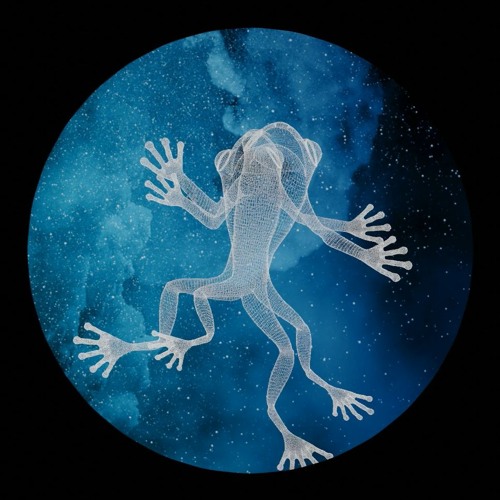Gradient - Space Frogs