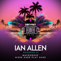 Ian Allen - Work Hard Play Hard