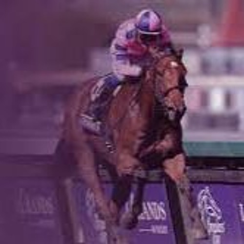 Stream LIVE Breeders Cup Horse Racing 2023 11 03 2023