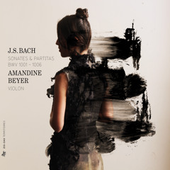 Violin Sonata No. 2 in A Minor, BWV 1003: IV. Allegro