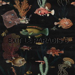 EXIT LE PARADIS 6