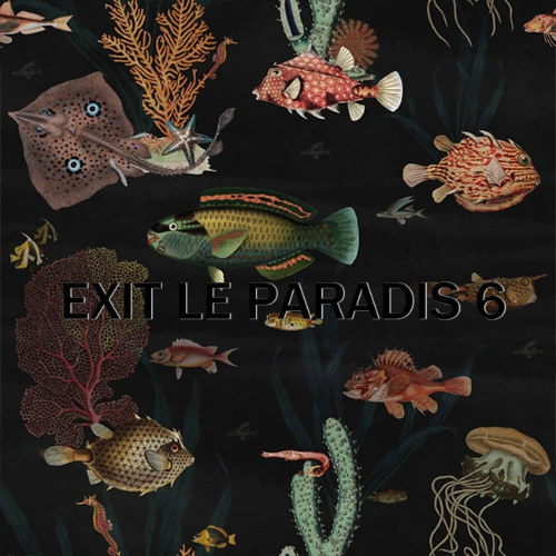 EXIT LE PARADIS 6