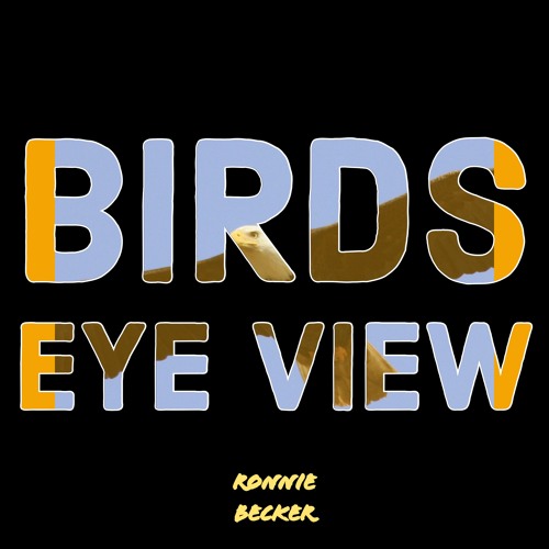 Birds Eye View ( Prod By Yondo )