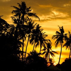 Last rays of sunshine