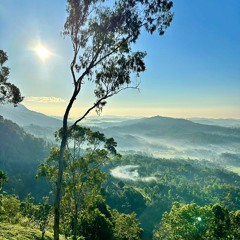 Organic Temptation Vol 13 (My Kind Of Sunday)