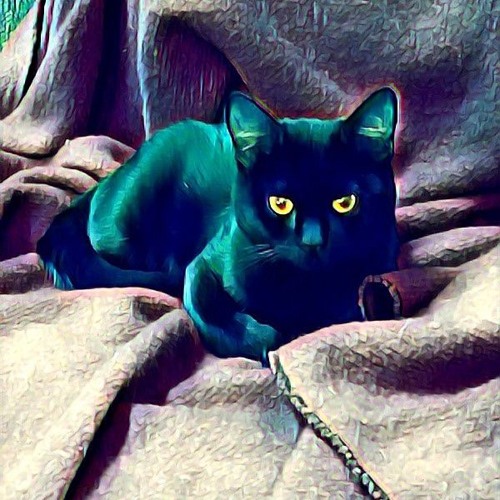 I Concur with TexMex Shaman & MJ Brewer