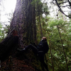 Life on Mars (David Bowie)