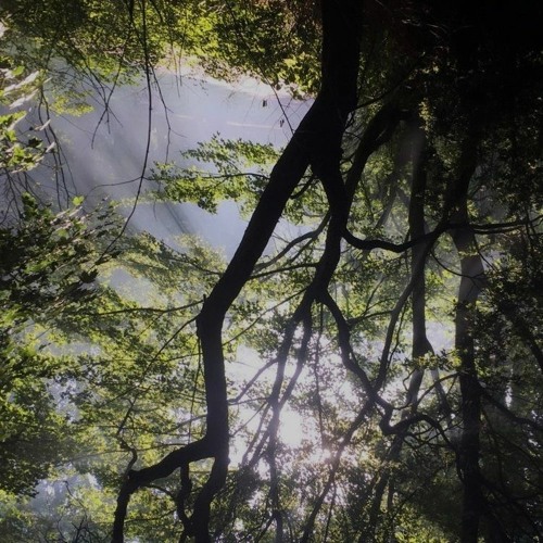 Spell Cast 012 - GAPPIEOUWE