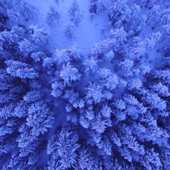 MaximumMinimum - La Bi Ry (Instrumental) LomePal, Romeo Elvis Type Beat 103 BPM