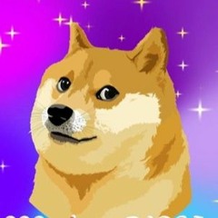 DOGE to The Moon