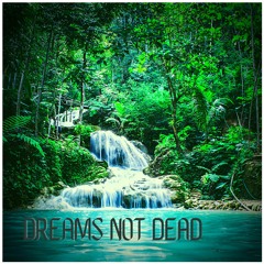 DREAMSNOTDEAD(rainforest)
