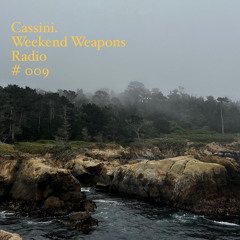 Weekend Weapons Radio #009