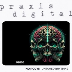 Noirodyn: Equinox [from Untamed Rhythms, praxis_01010, 2024]