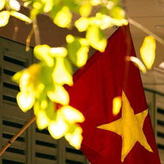 Nụ Cười Son Lofi - ( Quốc Toản )