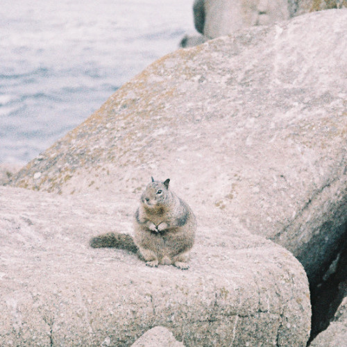 the only exception - paramore