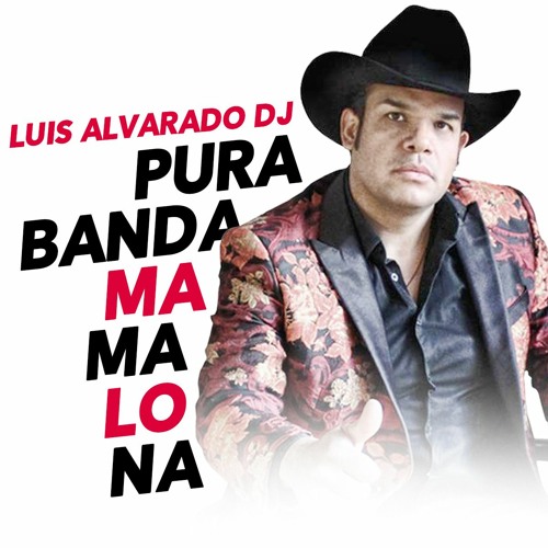 Pura Banda Mamalona Mix - Luis Alvarado Dj SLP