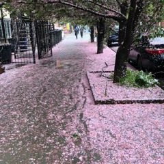 Weight of Lies (with Gracie)