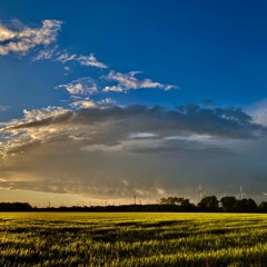 African chicken - Afrikanisches Haehnchen