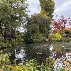 Offerings ~ 'Attention' 12 November 2025