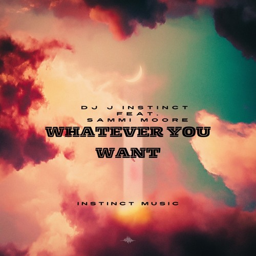 Dj J Instinct - Whatever You Want Feat. Sammi Moore