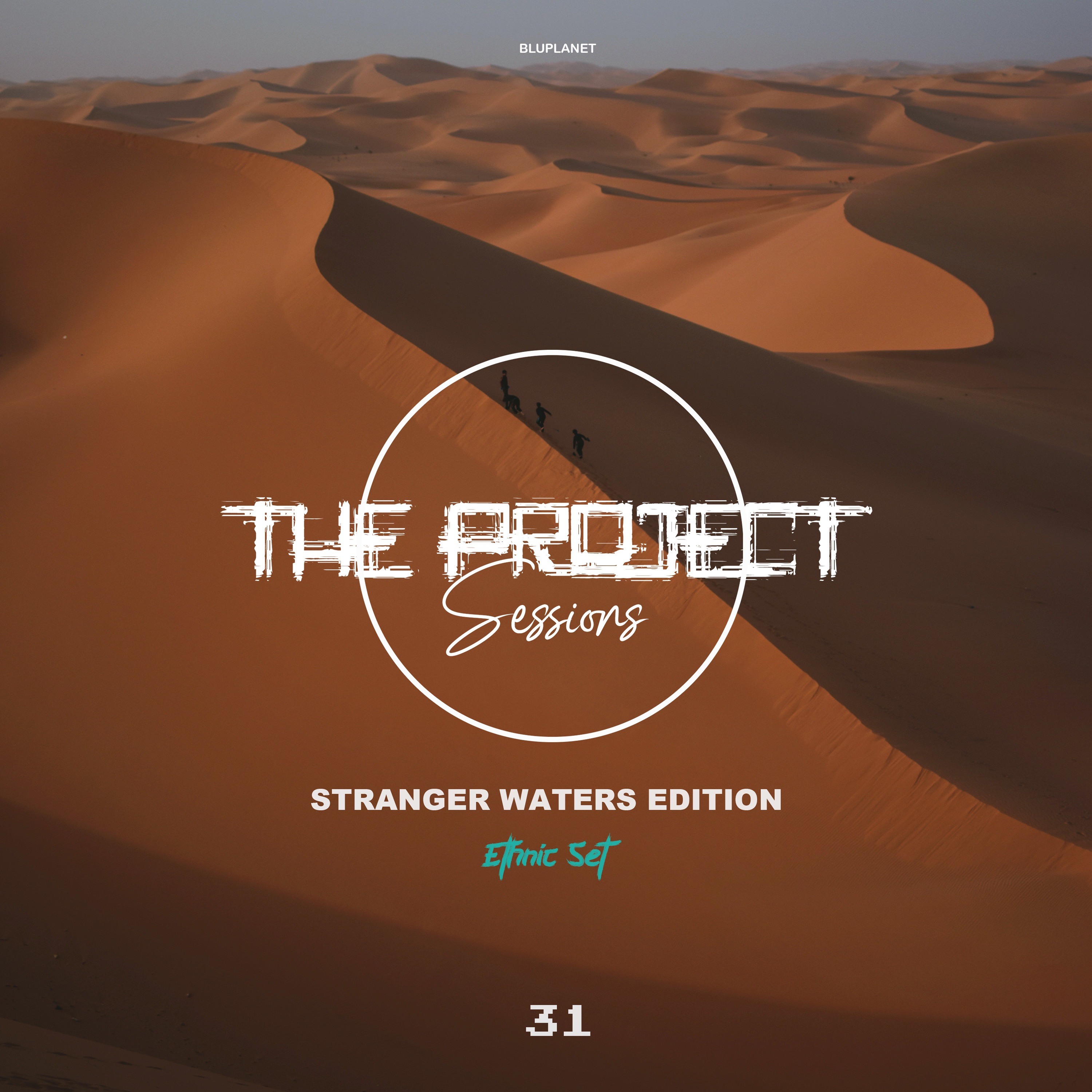 The Project Sessions