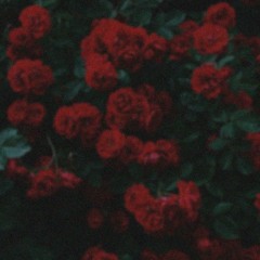 Rosas (remix)