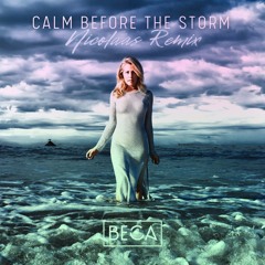 Calm Before The Storm (NICOLAAS Remix)