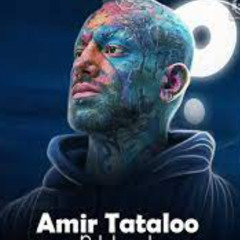 Amir Tataloo - Tanhaei (Ai) امیر تتلو هوش مصنوعی