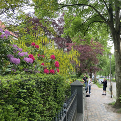 sin davis ft. playboi52 - gebe gas (prod. megaa)