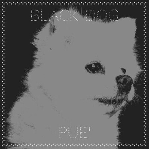 Black Dog