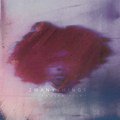 GwenBunn - 2MANYTHINGS (INNUSTA FLIP)