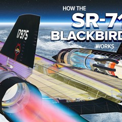 Blackbird