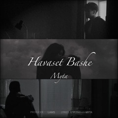 Havaset Bashe