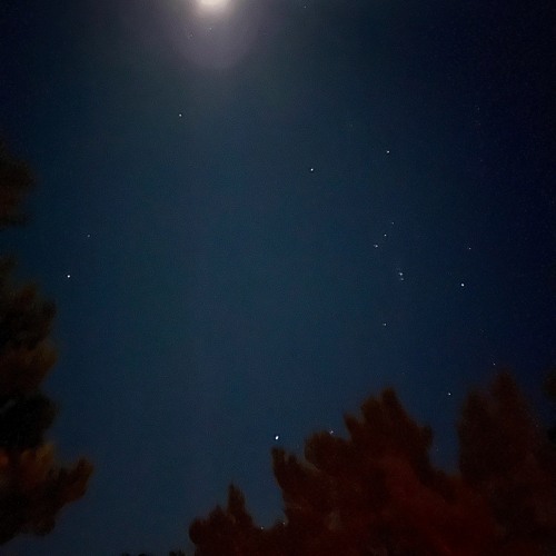 Answer Just, Answer True