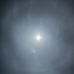 Another river w/zoe 2/22