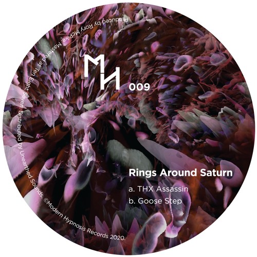 Rings Around Saturn - THX Assassin / Goose Step (Out Now)