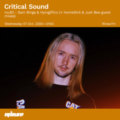 Critical Sound no.83 - Sam Binga & Hyroglifics (+ HomeSick & Just Bee guest mixes) - 07 October 2020
