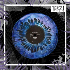 TERZI - DO YOU FEEL IT