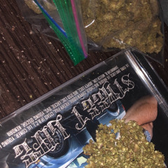 city of trees