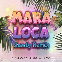 Dj AmiGo x Dj Whyne - Loca Remix (Feat. Mara)