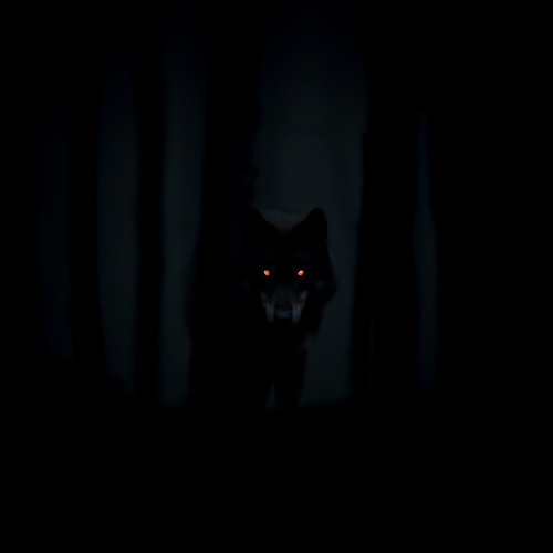 Happily Ever After (Feat. N/A)