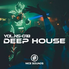 Deep House Mix | Vol.NS-018 | Best Deep House Tracks - DJ JEDY | Tropical House | Chill House Music