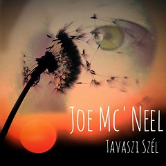 Joe McNeel - Tavaszi Szél (Chilldown)