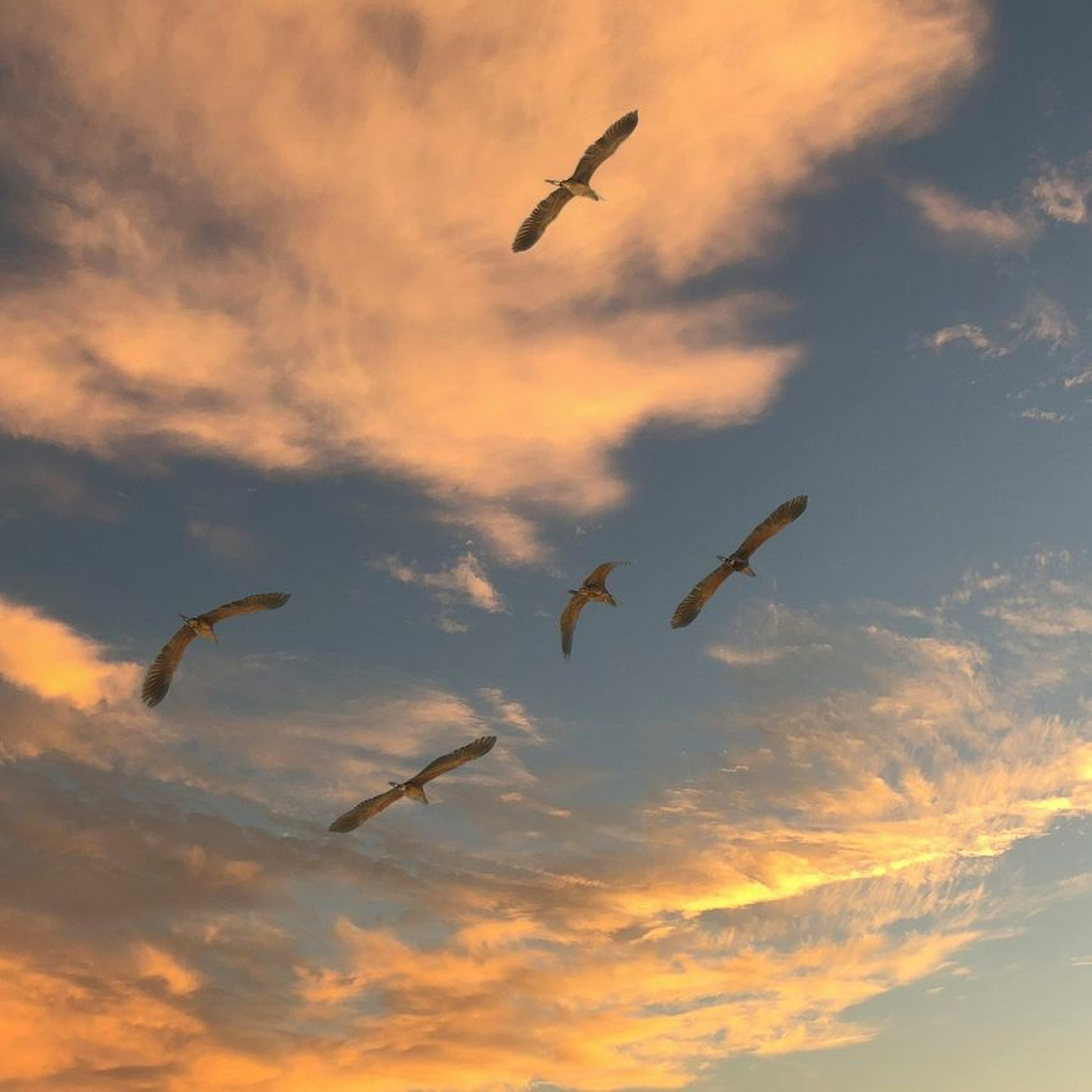 Episode 127: The importance of independent advice & cloud migrations