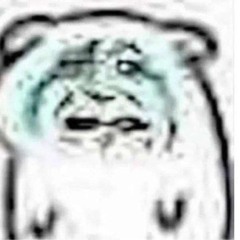 RAINBOW CONNECTION ABRIDGED