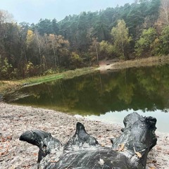 Mulan's Night (Idea)