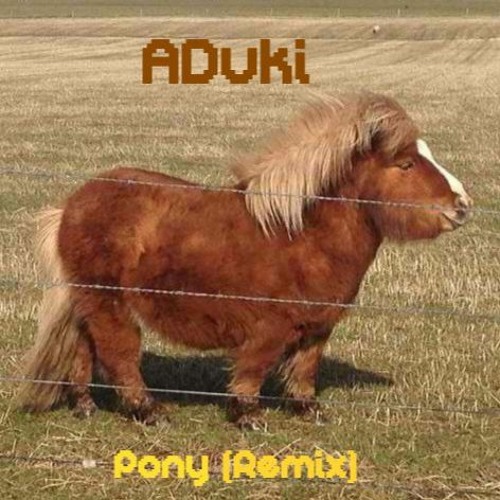 ADuki - Pony (Click Buy For Free Download)