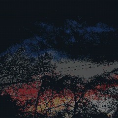 clomii x wingridden - COLD