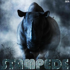 STAMPEDE