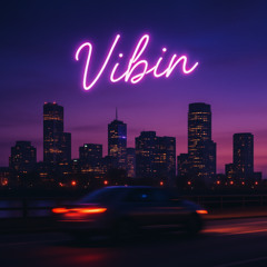VibiN